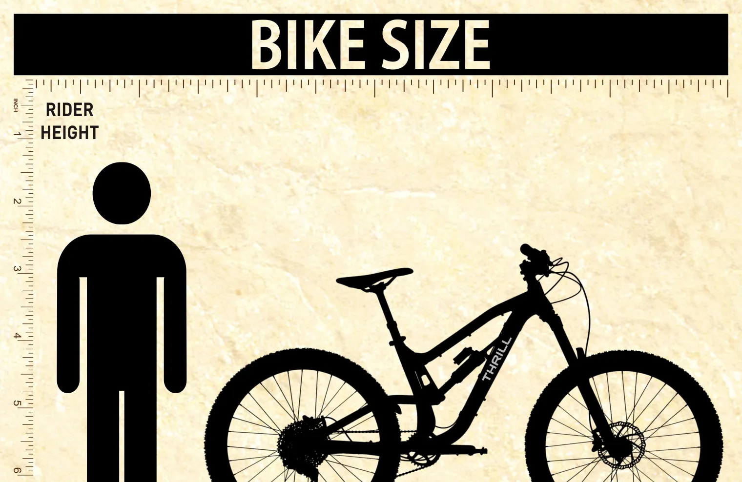 Bike Size